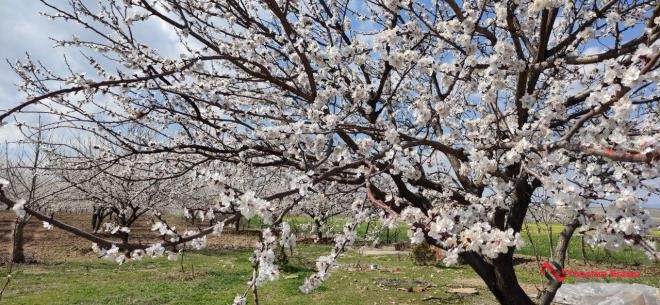 0f07c1ff-d78a-eb11-8104-a0369f7d1d8e[1]